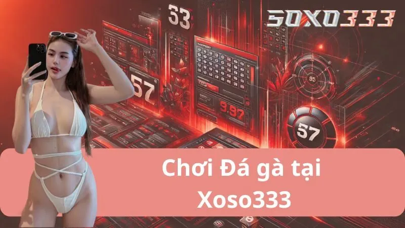 Đá Gà Xoso333 – Sân Chơi Hấp Dẫn Phần Thưởng Trong Tầm Tay